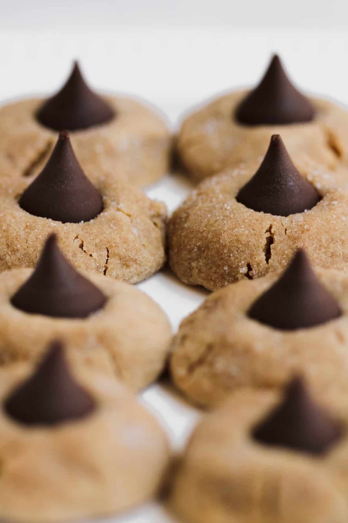 rows-of-peanut-butter-blossom-cookies.