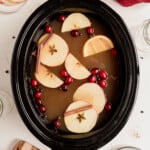 crockpot-apple-cider.