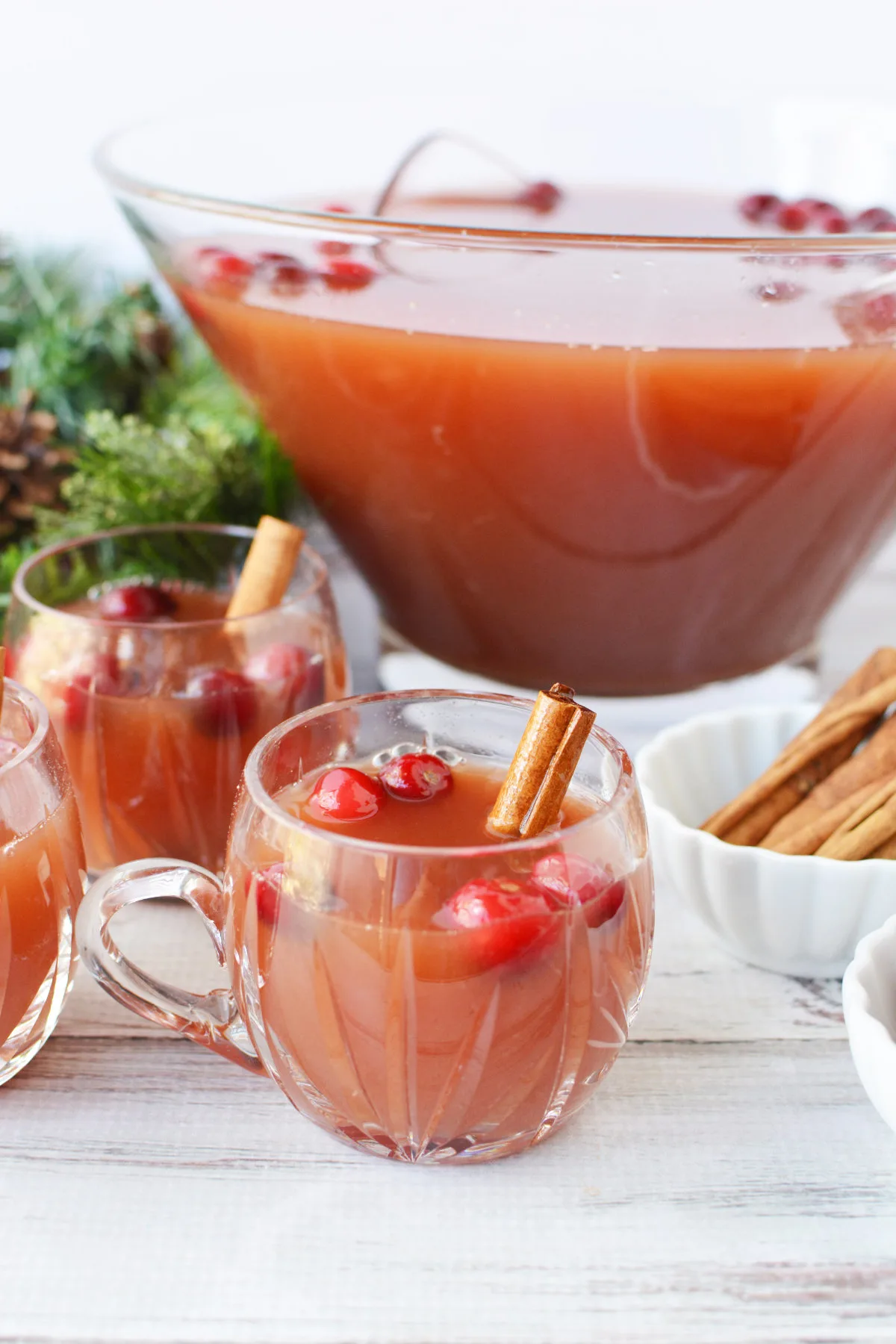 21-non-alcoholic-cranberry-cinnamon-punch.